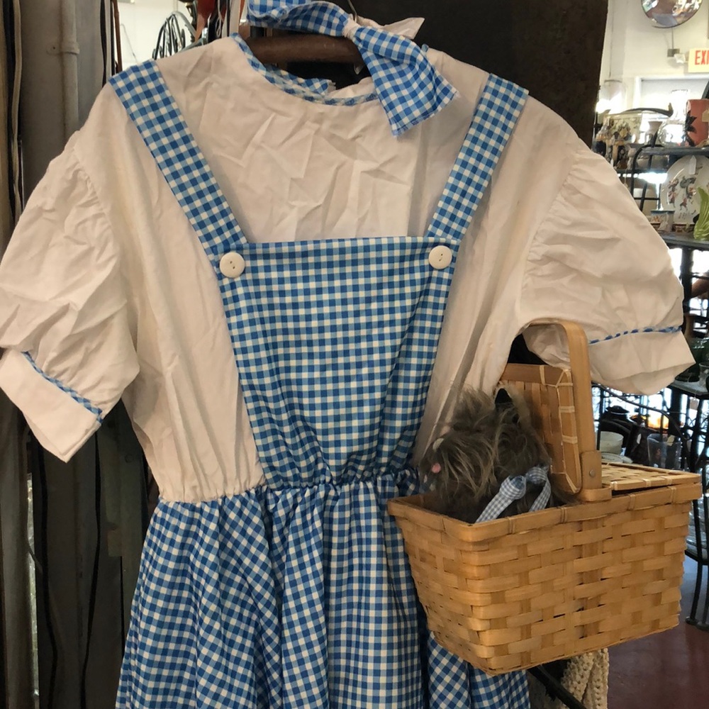 Wizard of Oz Dorothy costume